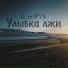 TemiRiS