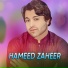 Hameed Zaheer