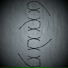 bapadaq