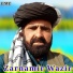 Zarnamir Wazir