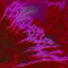SavXgeS