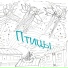 Драконь, Екатерина Ачилова