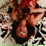 bloodrayne
