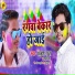 Ankush Raja, Shilpi Raj