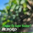 BEBORD