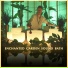 Healing Vibrations