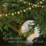Metamorphose String Orchestra, Pavel Lyubomudrov