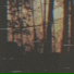 S1iegy