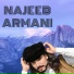 Najeeb Armani