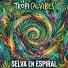 Tropi Calvibes, Los Destellos
