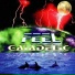 FEEL