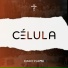 Cruciforme