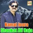 Shaukat Ali Raja