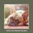 Relaxing Dog Music