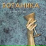 Бумажные Тигры