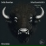 Marco Bedini - History
