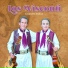 Los Visconti