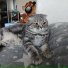 Коновалова Анастасия