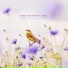 Landscape Sound