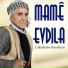 Mame Evdıla