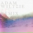 Bryan Senti, Adam Bryanbaum Wiltzie