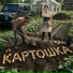 Нейроинтеллект