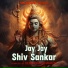 Debapriya Senanayak