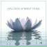 Entspannende Musik Wellness