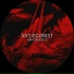 ÅNTÆGØNIST