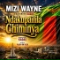 Mizi Wayne feat. Kadas