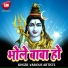 Ashish Ray, Nisha Pandey