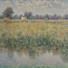 tran duy