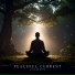 Calmzen