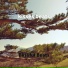 Blissful Beats