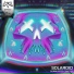 Solaroid