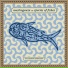 species of fishes, muslimgauze