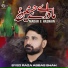 Syed Raza Abbas Shah