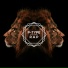 P-Type