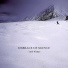 Embrace of Silence