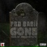 PBD BABii