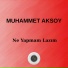 Muhammet Aksoy