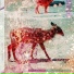 Animales Blancos