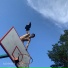 xxx