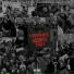 C Plus