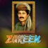 Zareen