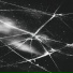 DISPERSER