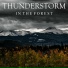 Thunderstorm Global Project from TraxLab