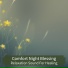 Comfort Night Blessing