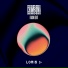 Loris D