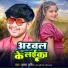 Krishna Krishi